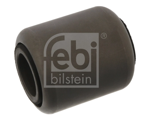 Bushing, leaf spring